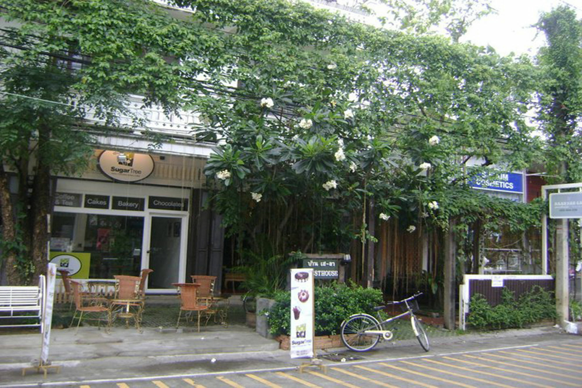 Baan Say-La Guest House Chiang Mai Ngoại thất bức ảnh